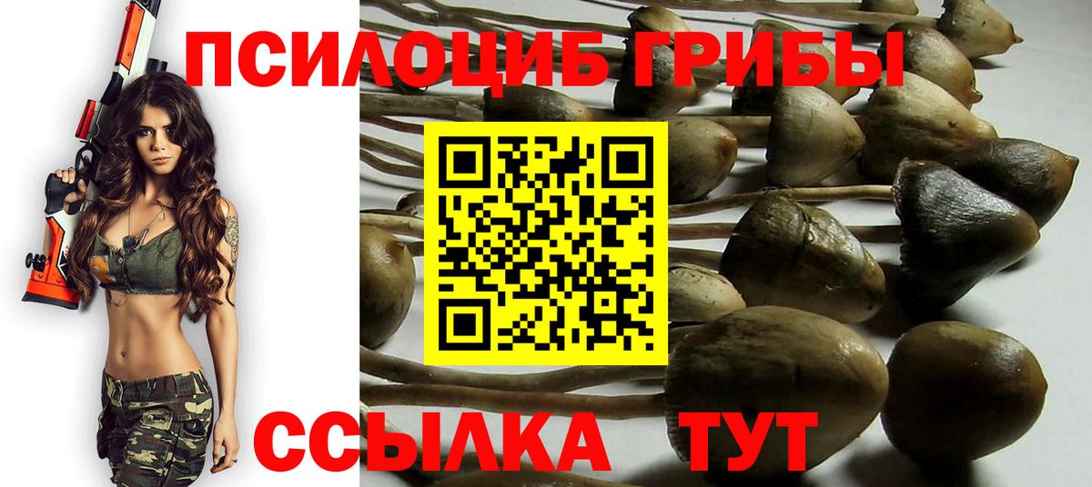 Лянтор  Псилоцибиновые грибы Cubensis  Вход с VPN 